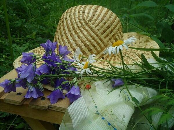 Sombrero y botella de agua sobre una banca en un parque luminoso